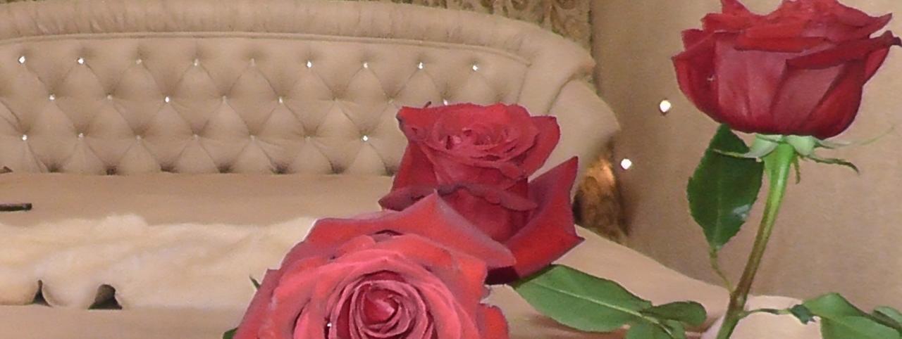 Royal King And Queen For Luxury Life 公寓 Sarande